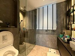 Irwell Hill Residences (D9), Apartment #589333311